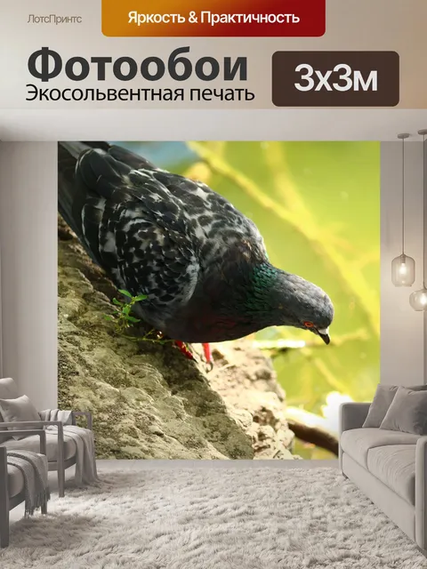 Фотообои Россия