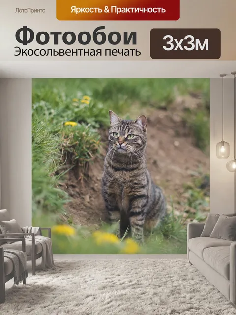 Фотообои Кошка