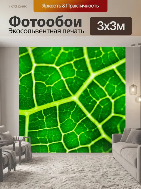 Фотообои Зеленый лист фон