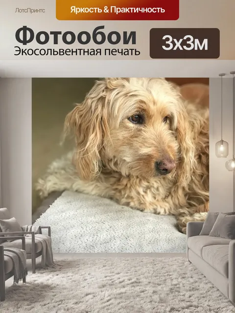 Фотообои Золотой каракули
