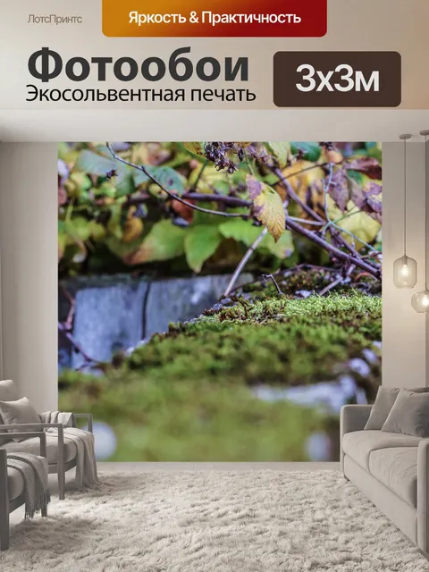 Фотообои Мох