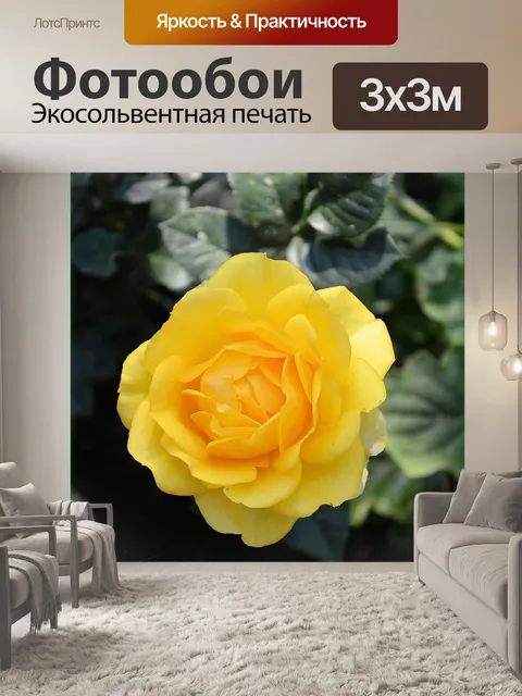 Фотообои Желтая роза