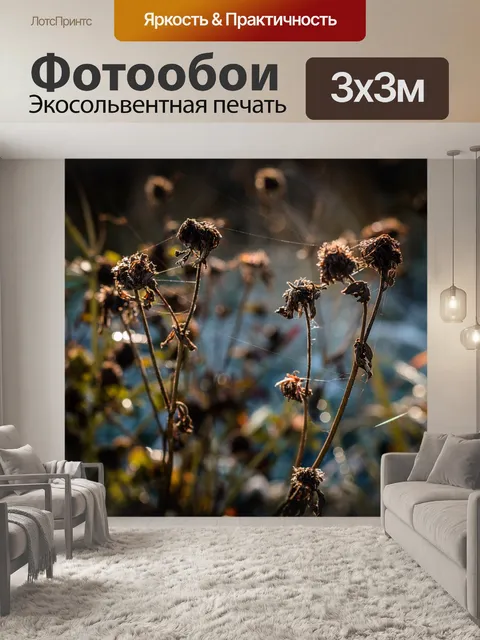 Фотообои Осень