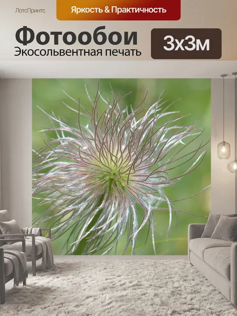 Фотообои Фруктовые головки