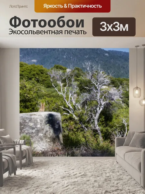 Фотообои Кролик на скале