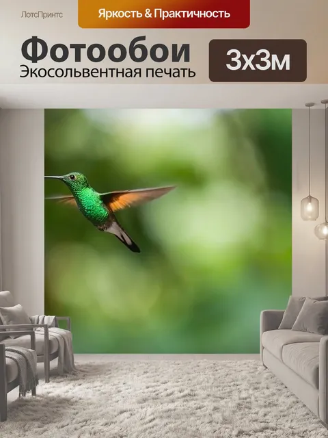 Фотообои Колибри