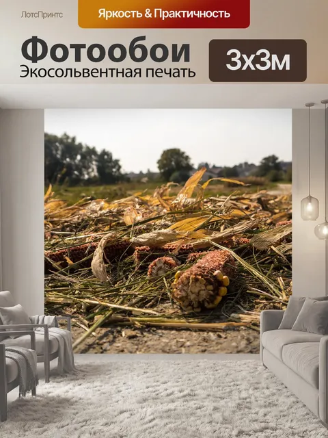 Фотообои Уборка урожая