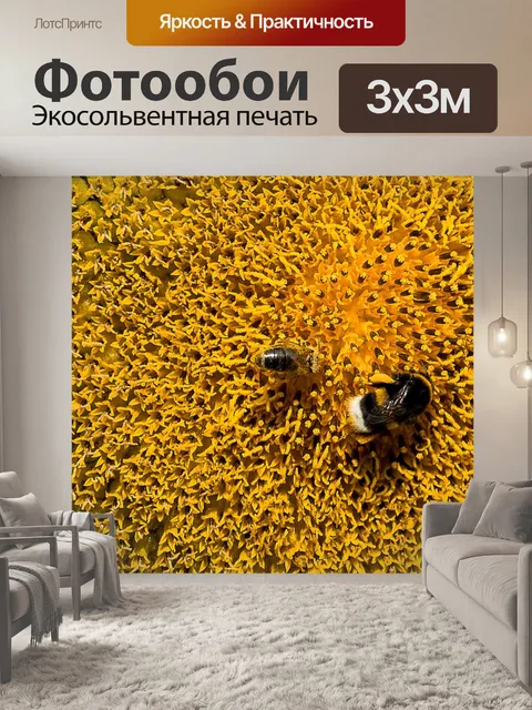 Фотообои Подсолнух