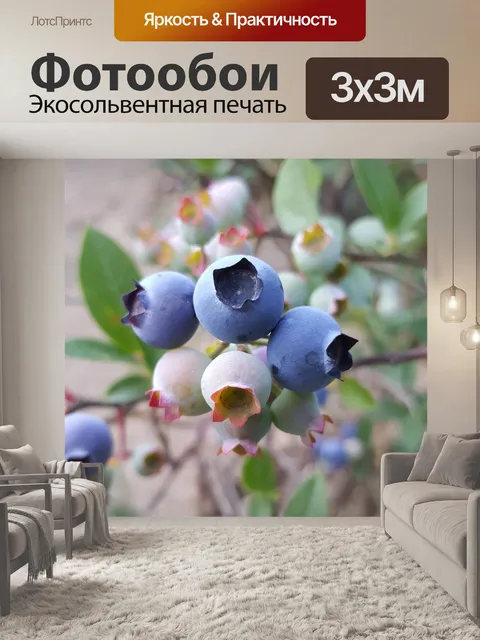 Фотообои Блуберри