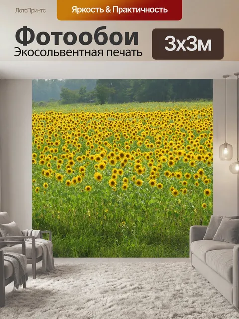 Фотообои Подсолнухи