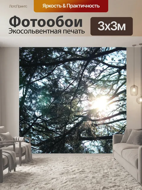 Фотообои Ветви