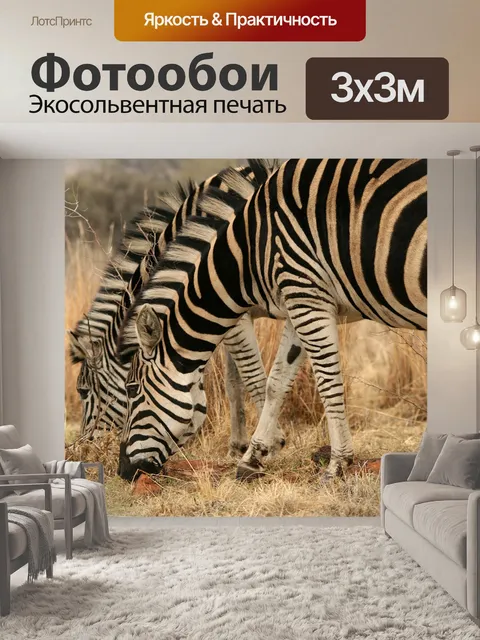 Фотообои Зебры бок о бок