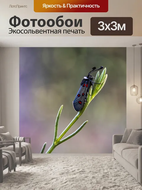 Фотообои Шестигранник