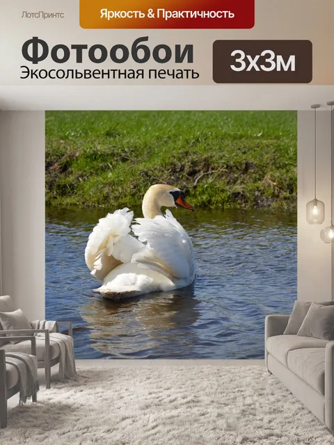 Фотообои Лебедя
