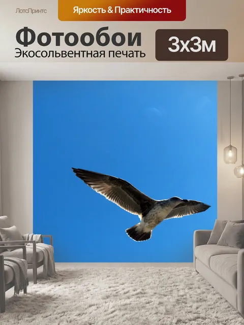 Фотообои Летающие Чайка