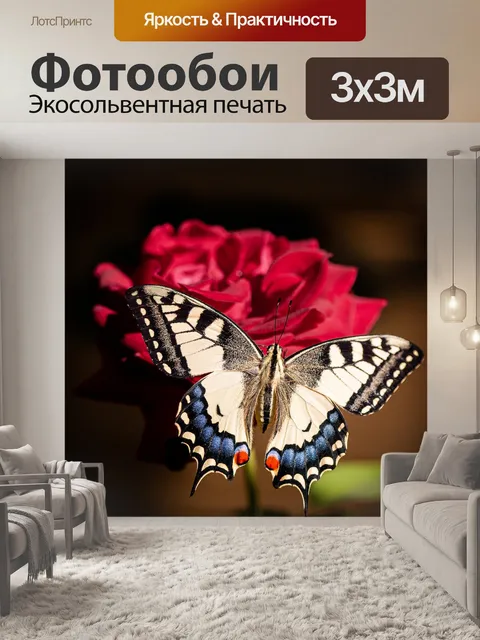 Фотообои Макрос