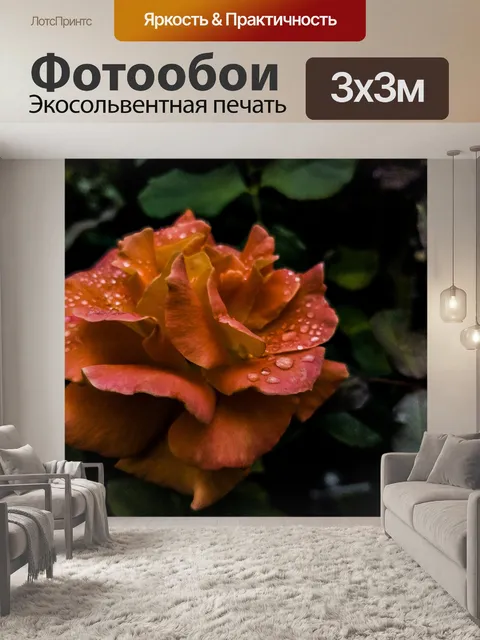 Фотообои Оранжевая роза в саду