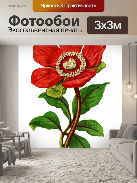 Фотообои Пион Vintage Botanical Art