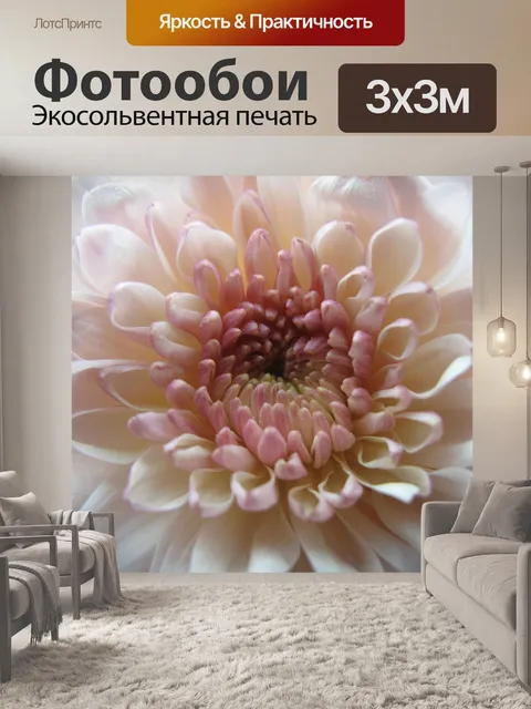Фотообои Красивая хризантема светло-розовый