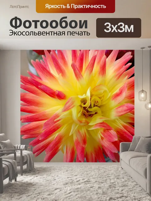 Фотообои Осень Фиеста Далия