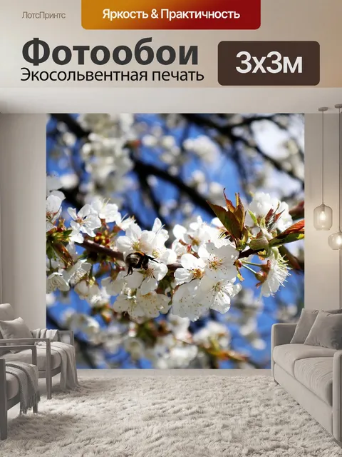 Фотообои Шмель