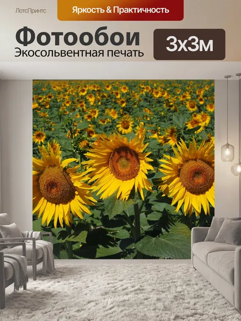 Фотообои Подсолнухи
