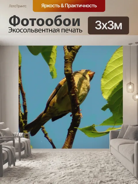 Фотообои Птица