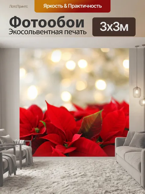 Фотообои Поинсеттиа