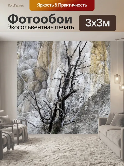 Фотообои мертвое дерево на травертиновых террасах