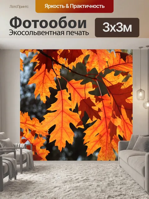 Фотообои Дубовые листья