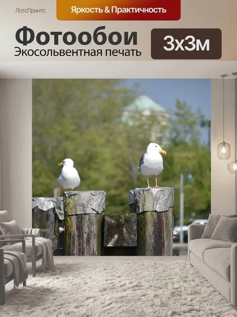Фотообои Пара