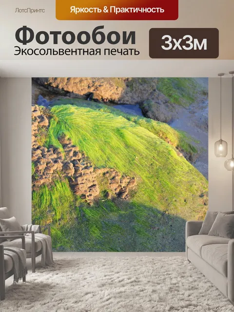 Фотообои Морские водоросли