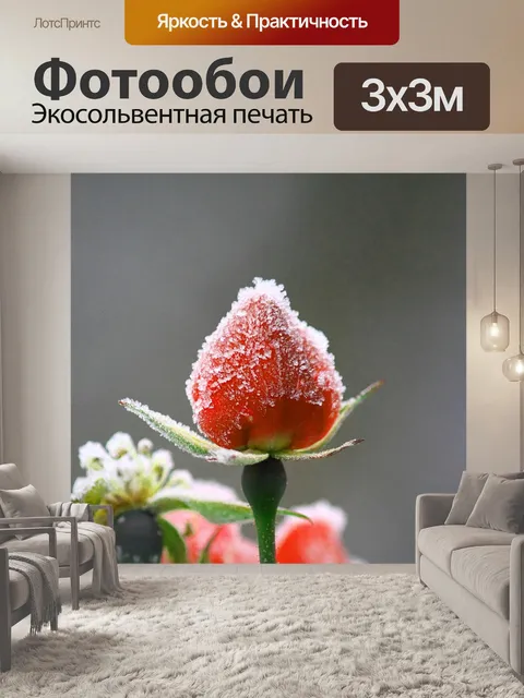 Фотообои Цветок