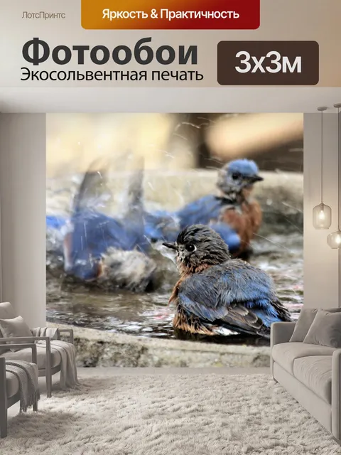 Фотообои Splish Splash
