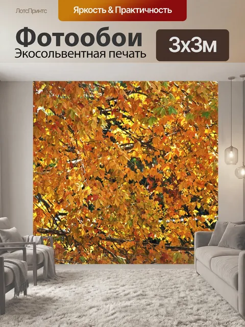 Фотообои Желтые листья на дереве осенью