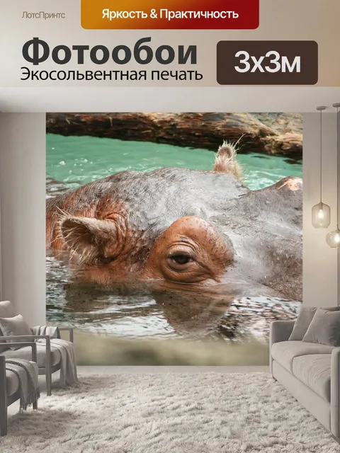 Фотообои Бегемот