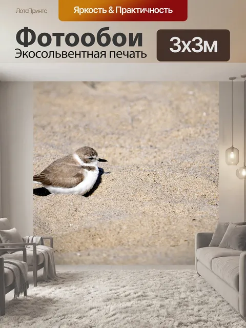 Фотообои Снежный пловец