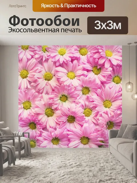 Фотообои Розовые ромашки