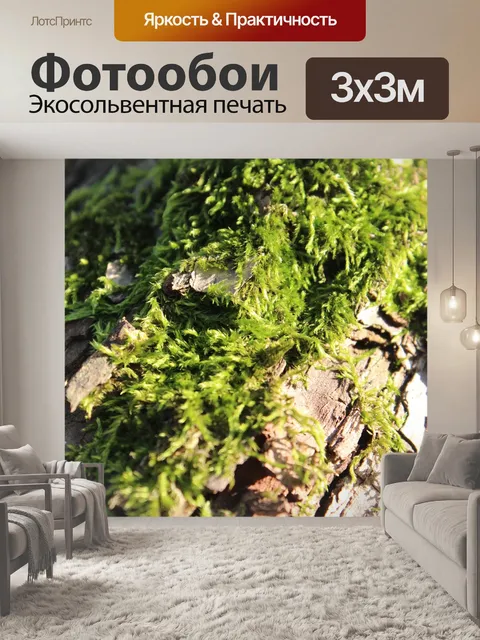 Фотообои Мох