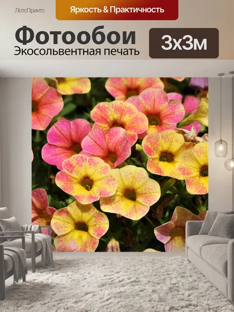 Фотообои Розовые и Желтые Мини-Петунии 2