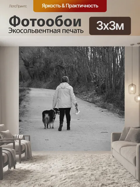 Фотообои Прогулка с собакой