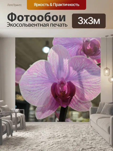 Фотообои Цветок