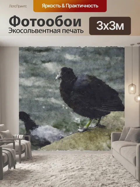 Фотообои Coots
