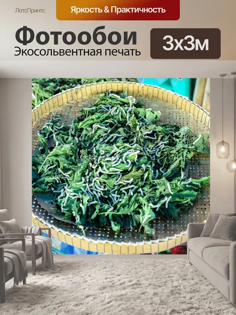 Фотообои Шелкопряд ест листья шелковицы