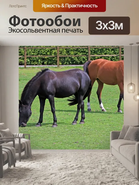 Фотообои Выпас лошадей