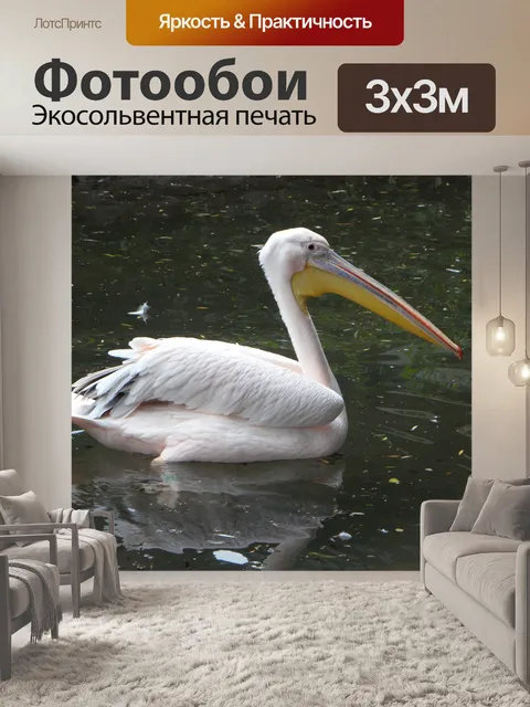 Фотообои Розовый
