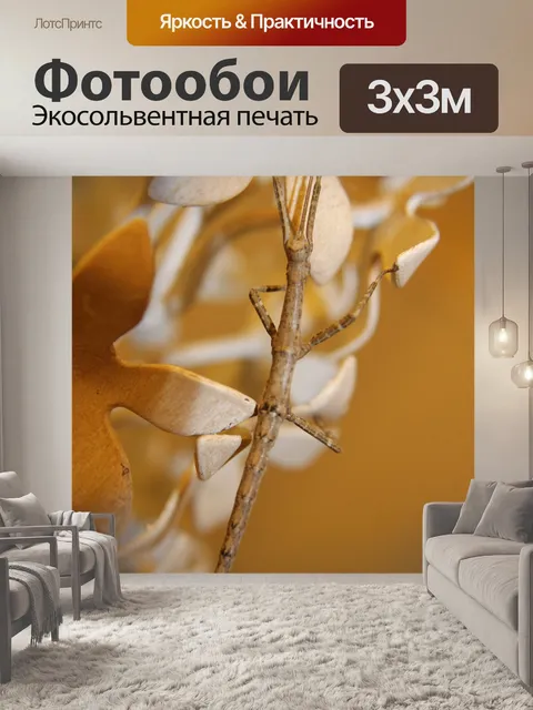 Фотообои Насекомое