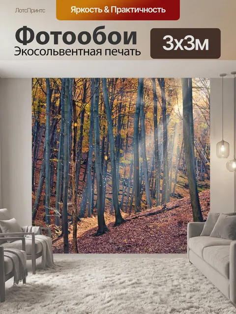 Фотообои Осень