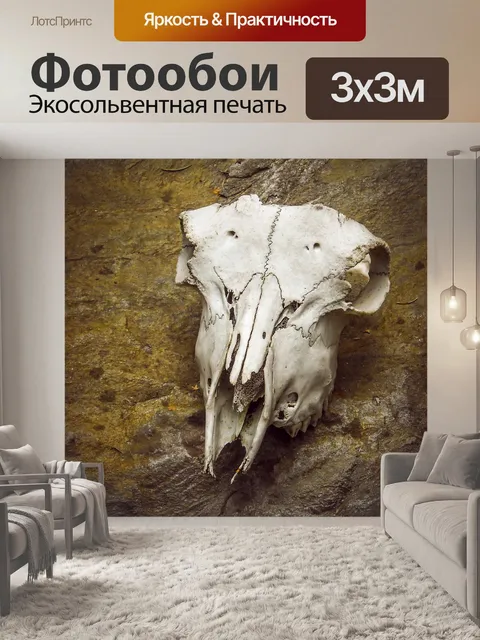 Фотообои Череп