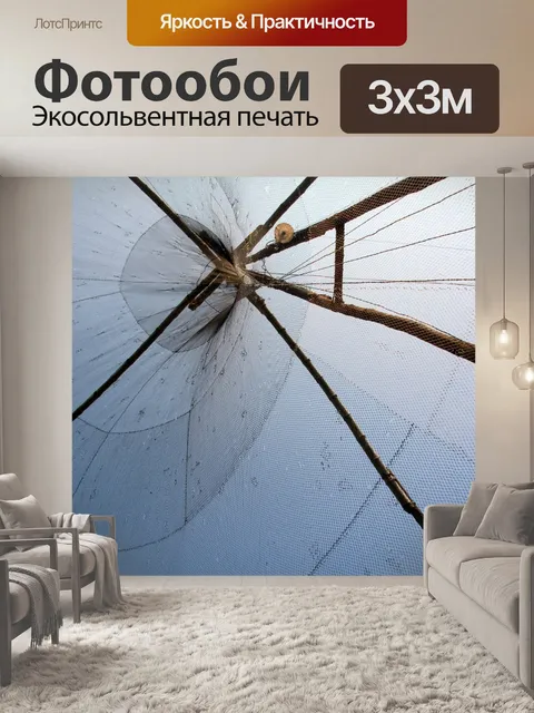 Фотообои Web